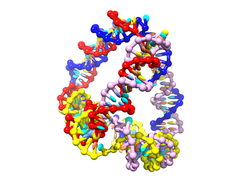 DNA tetrahedron