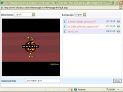 Swf Gsterici - Swf Viewer