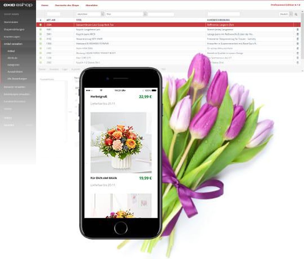 OXID eShop Screenshot 1