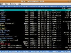 1.93.9 running in gnome-terminal