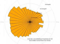 rose des concentrations moyennes