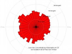 rose de concentrations maximales