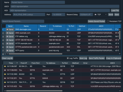 Packet Sender Screenshot 1