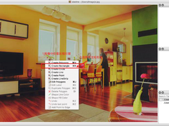 PaddleX Screenshot 1