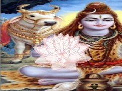 Rendered padme (lotus) flower over the picture