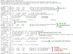 interpreting the output of multiple clients