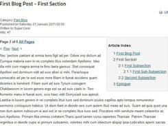 View: Article Section