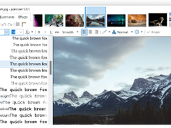 Paint.NET Screenshot 1