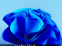Optional Windows Themes