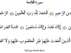 PakType Naskh Basic - Text source www.tanzil.net