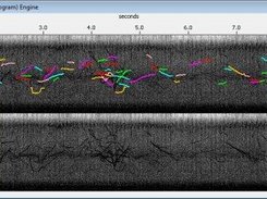 Dolphin whistles are detected using the PAMGuard whistle and