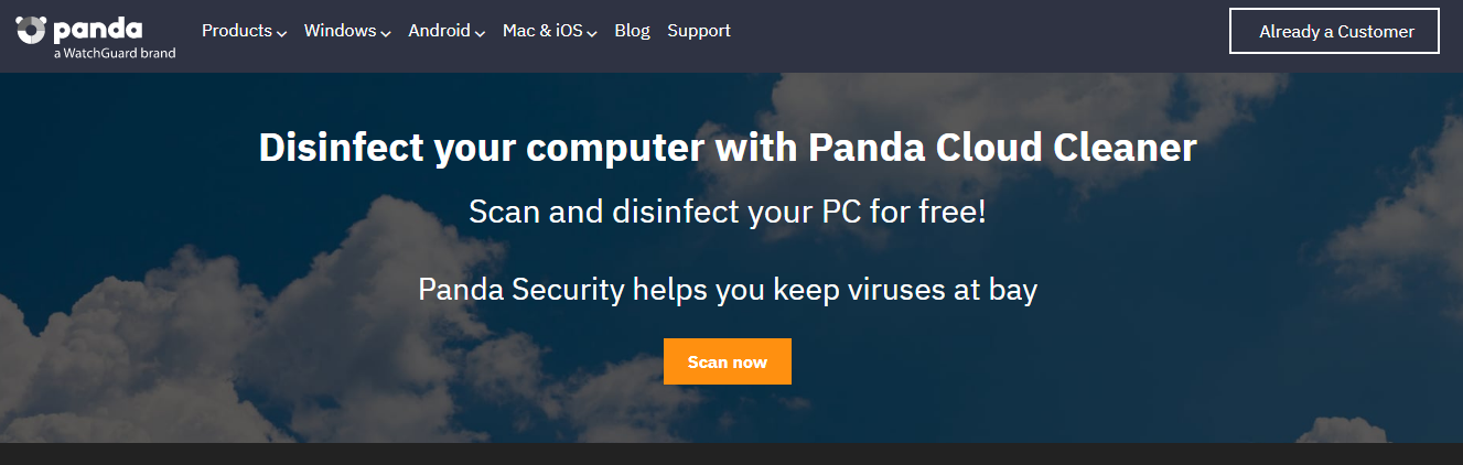 Panda sale cloud cleaner