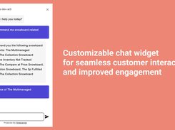 Customised Chat Widget