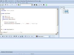 PandaIDE for PHP