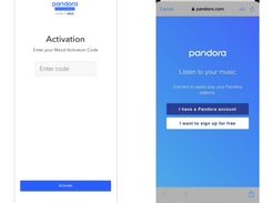 Pandora for Business Screenshot 1