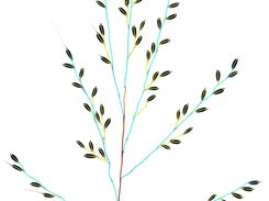 Panicle Skeleton