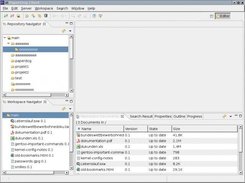 RCP-based client: repository and workspace