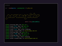 paramspider Screenshot 1