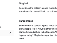 Paraphrase Tool Screenshot 1