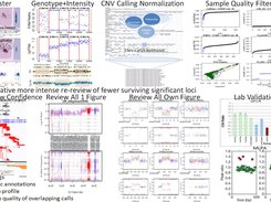 ParseCNV Workflow Overview