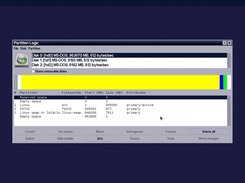 Partition Logic disk manager