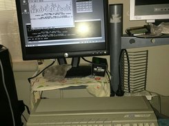 Nucleus on Atari STE