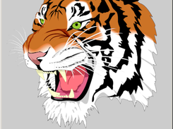Tiger example