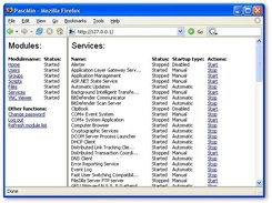 The services script in action