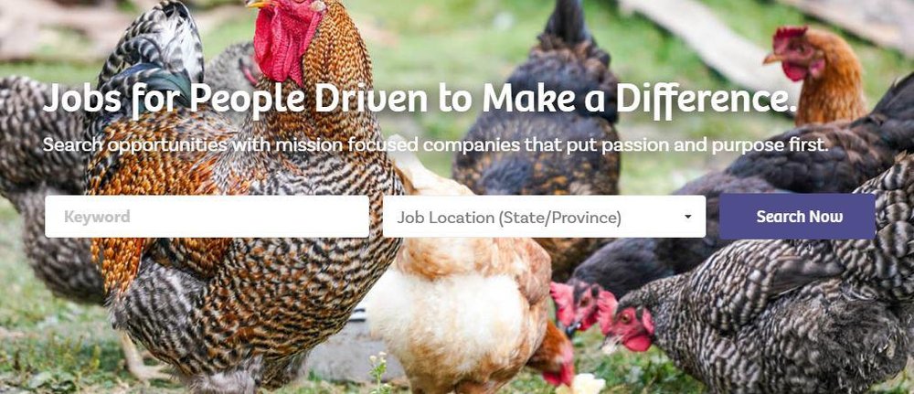 Passion Placement Screenshot 1