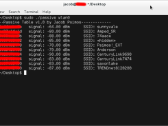 Passive Scan Screenshot 1