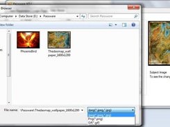 Data Viewer Image Browser