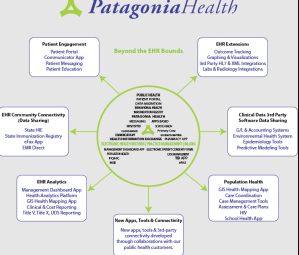 patagonia health ehr