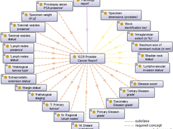 Representation of the ICCR prostate cancer report in PathLexProstate