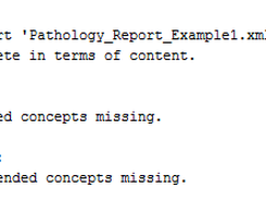 Result of the evaluation procedure regarding the report example 1