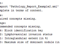 Result of the evaluation procedure regarding the report example 2