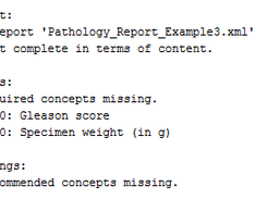 Result of the evaluation procedure regarding the report example 3