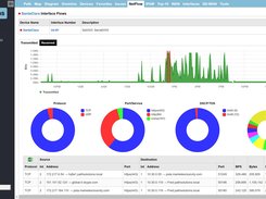 NetFlow Support