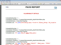pdf report detailed description of vulnerability
