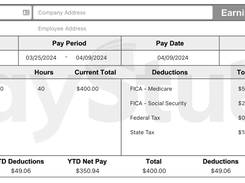 Pay Stub Makr Screenshot 1