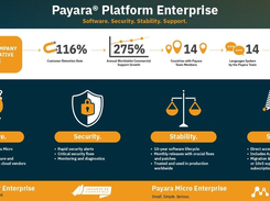 Payara Enterprise Screenshot 1