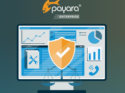 Payara Enterprise Screenshot 2