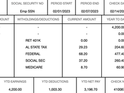 PayCheck Stub Online Screenshot 1