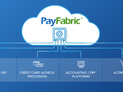 PayFabric Screenshot 1