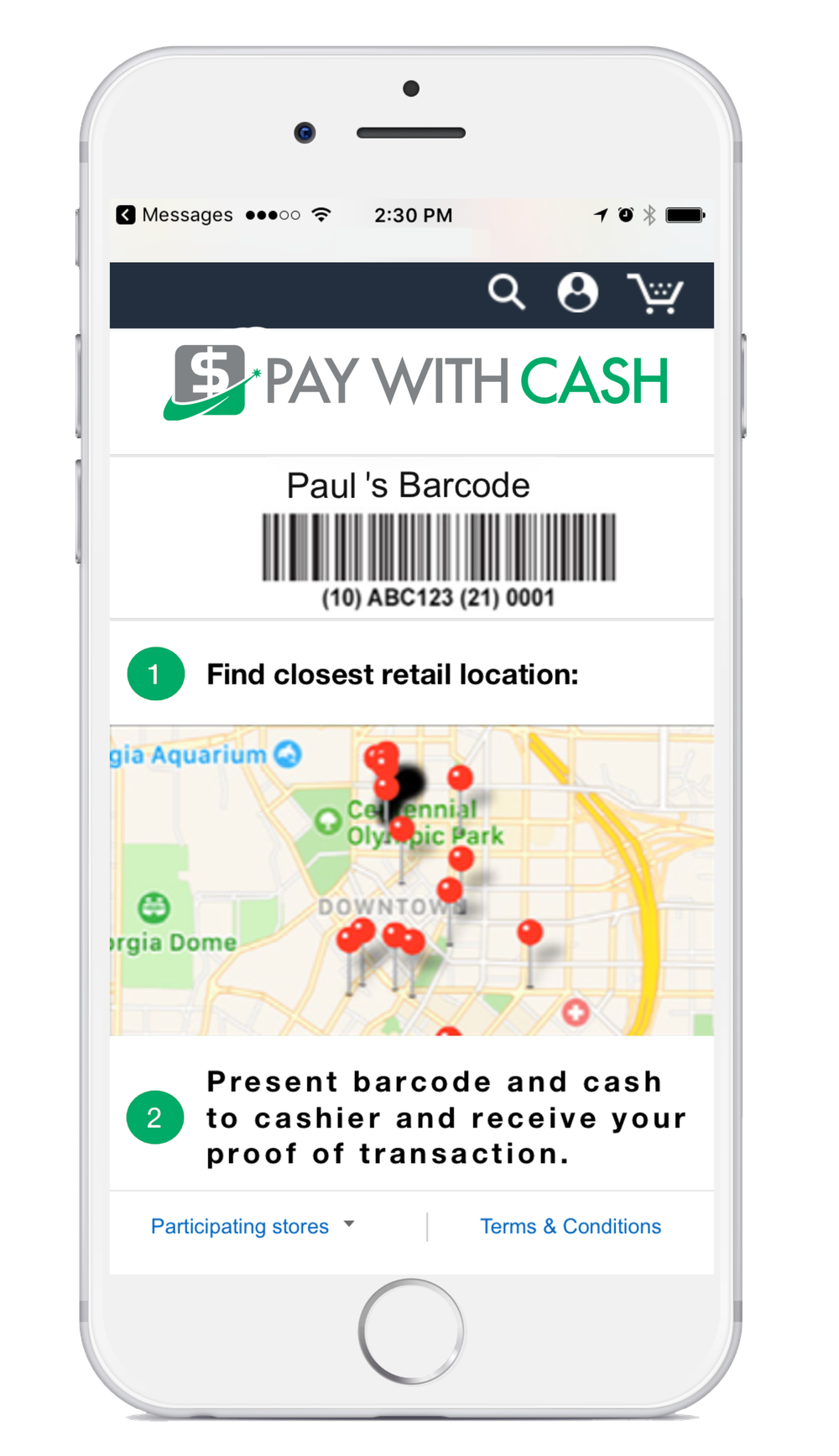 Payflo Screenshot 1
