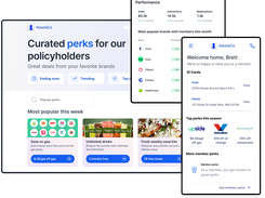 Example insurance perks program integrated into customer experience