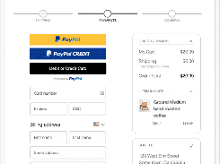 PayPal Screenshot 2