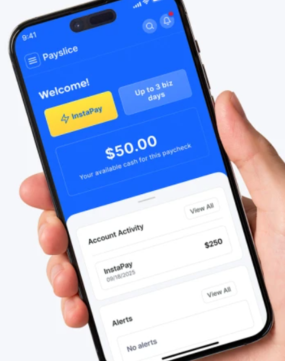 Payslice Screenshot 1