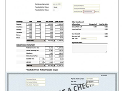 PayStub Direct Screenshot 1