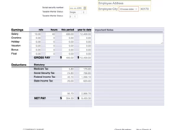 PayStub Direct Screenshot 1