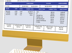 PaystubX Screenshot 1